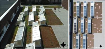 The contribution of seedbank to the green roof plant community dynamics analogous to semi-natural grasslands